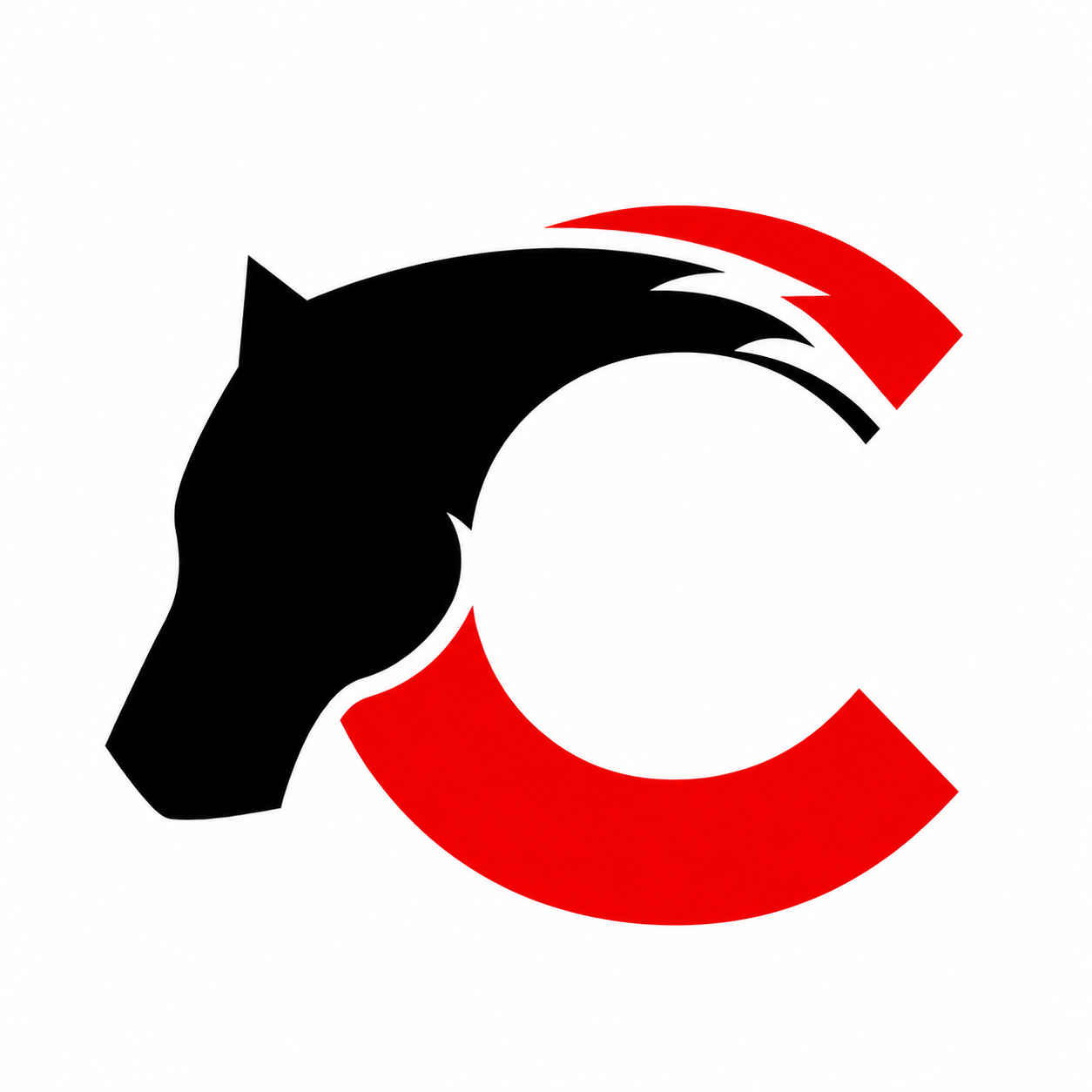 C&J Sons Trucking logo